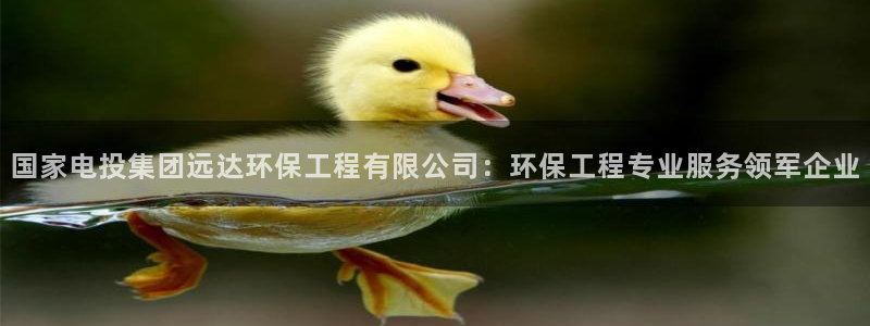 彩名堂免费计划官网购彩计划