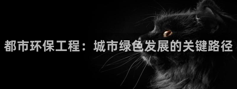 谁知道彩名堂网站是多少