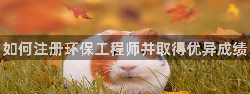 彩名堂官网网页计划