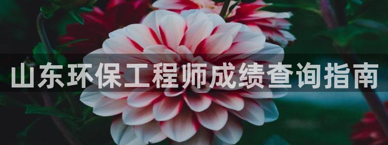 彩名堂app官方下载