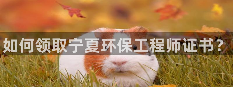 彩名堂免费计划使用方法是什么