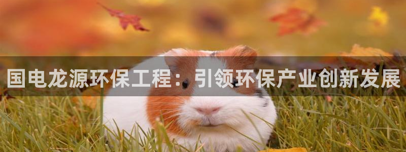 彩名堂app彩名堂客户端