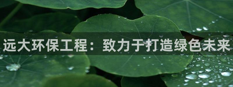 彩名堂客户端是永久免费吗