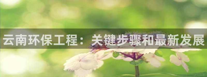 彩名堂怎么买准确率高一点