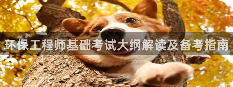 彩名堂预测官网