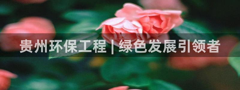 彩名堂怎么跟计划才不连挂呢