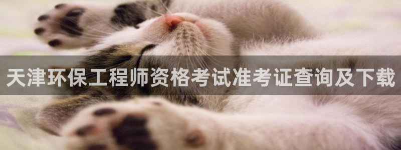 彩名堂安卓客户端官网