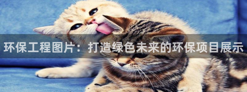 彩名堂计划app新版