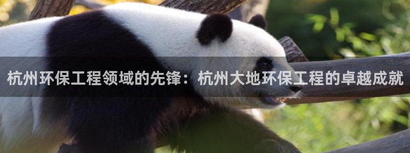 彩名堂官网客户端