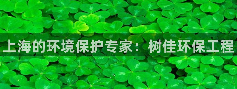 彩名堂的拼音