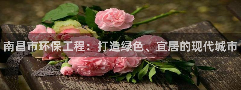 彩名堂官网计划01