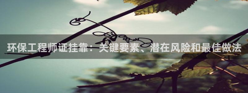 彩名堂.netnet