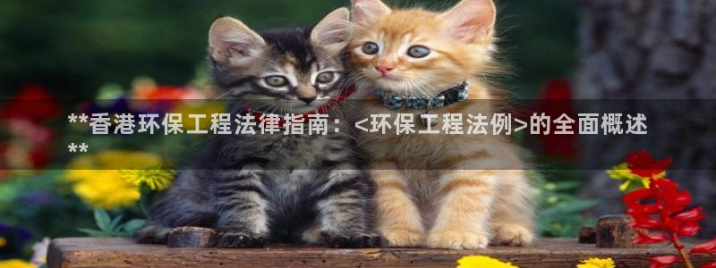 彩名堂最新计划app下载