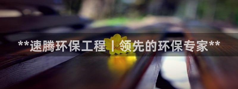 彩名堂计划技巧