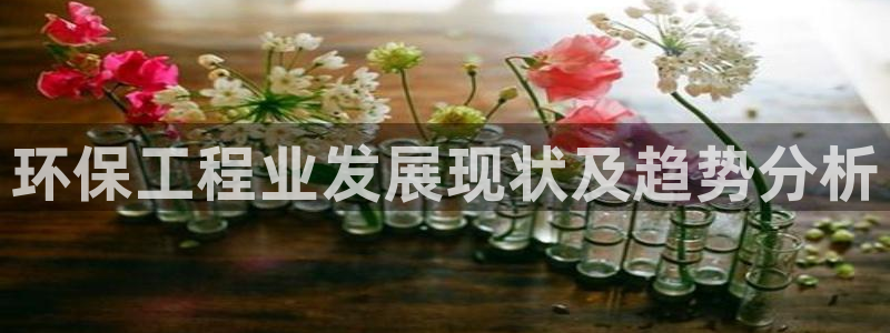 彩名堂官网：环保工程业发展现状及趋势