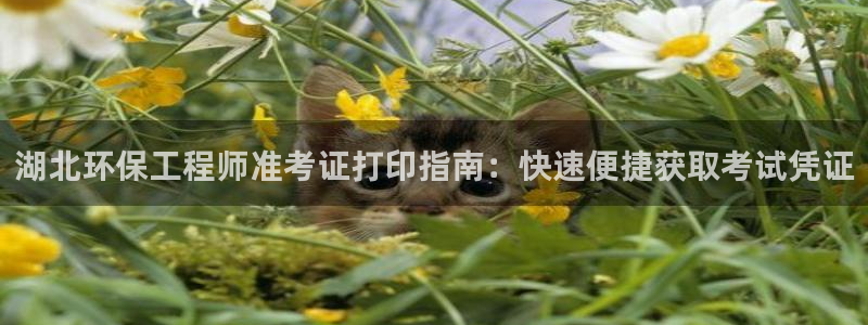 彩名堂免费计划客户端官网：湖北环保工程师准考证打印指南：快速便捷获取考试凭证