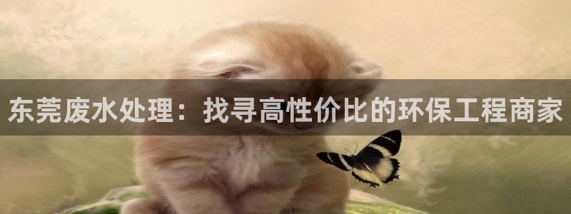 彩名堂安卓客户端官网：东莞废水处理：