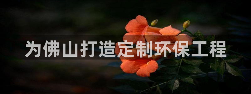 为什么彩名堂今天不能用：为佛山打造定