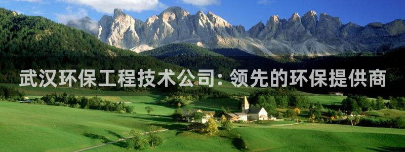 彩名堂APP下载：武汉环保工程技术公