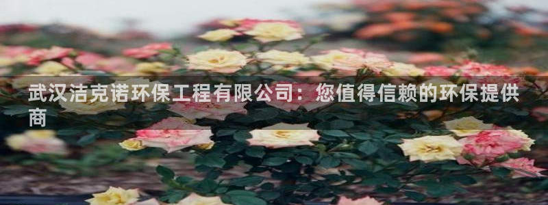 彩名堂安卓客户端官网下载：武汉洁克诺