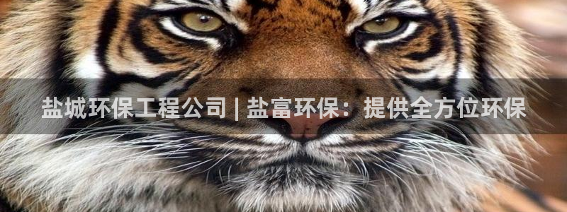 彩名堂预测免费计划：盐城环保工程公司