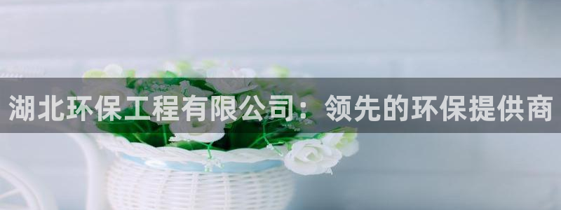 彩名堂计划技巧：湖北环保工程有限公司