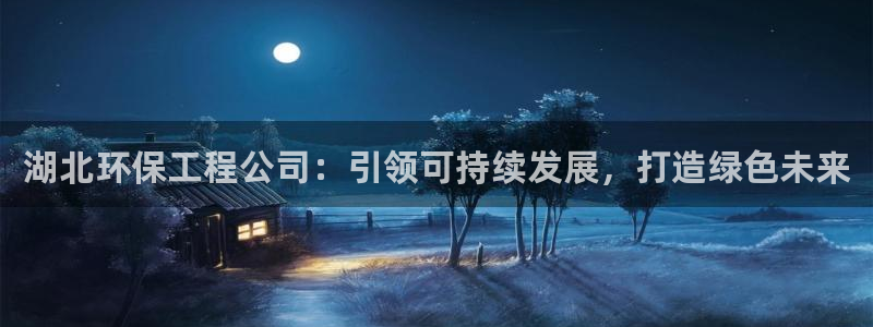 彩名堂4.3：湖北环保工程公司：引领