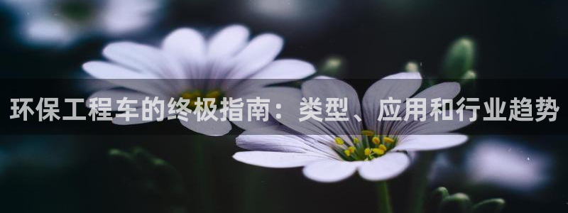 彩名堂手机版官网：环保工程车的终极指