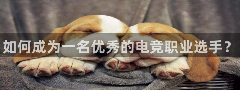 一竞技app下载：如何成为一名优秀的电竞职业选手？