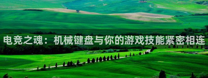 一竞技app：电竞之魂：机械键盘与你的游戏技能紧密相连