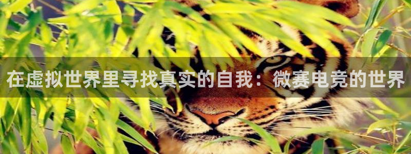 一竞技官网下载：在虚拟世界里寻找真实的自我：微赛电竞的世界