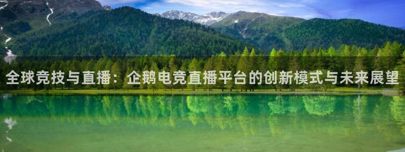 一竞技网址