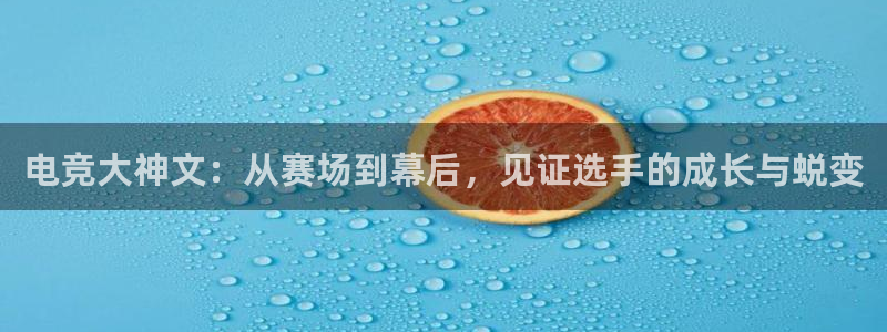 一竞技官网