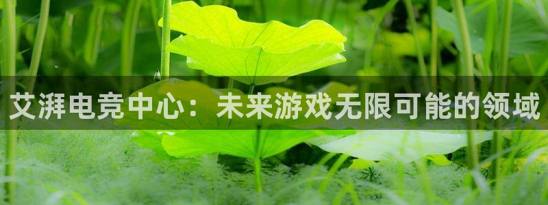 一竞技app下载：艾湃电竞中心：未来游戏无限可能的领域
