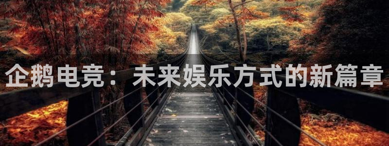 一竞技app：企鹅电竞：未来娱乐方式的新篇章