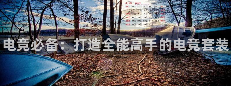 一竞技平台：电竞必备：打造全能高手的电竞套装