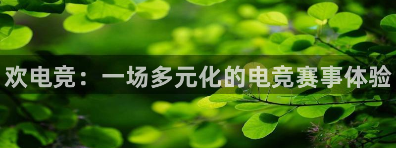 一竞技网址：欢电竞：一场多元化的电竞赛事体验