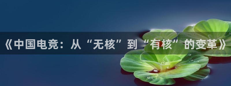 一竞技官网下载：《中国电竞：从“无核”到“有核”的变革》
