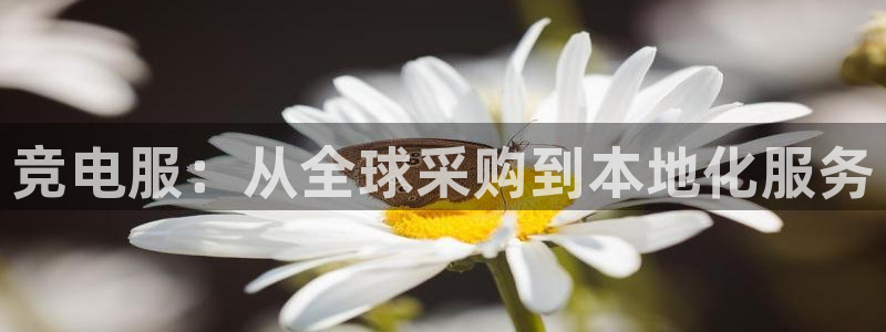 一竞技官网地址：竞电服：从全球采购到本地化服务