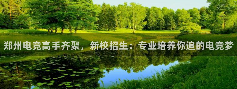 一竞技官网地址：郑州电竞高手齐聚，新校招生：专业培养你追的电竞梦