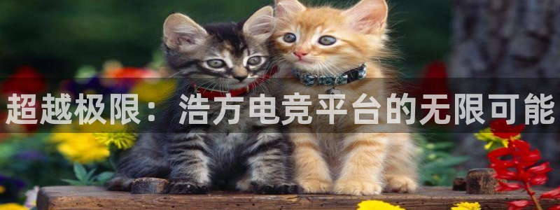 一竞技：超越极限：浩方电竞平台的无限可能