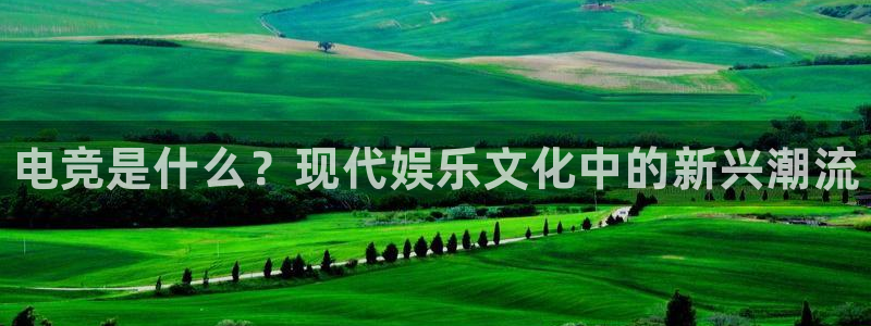 一竞技官网：电竞是什么？现代娱乐文化中的新兴潮流