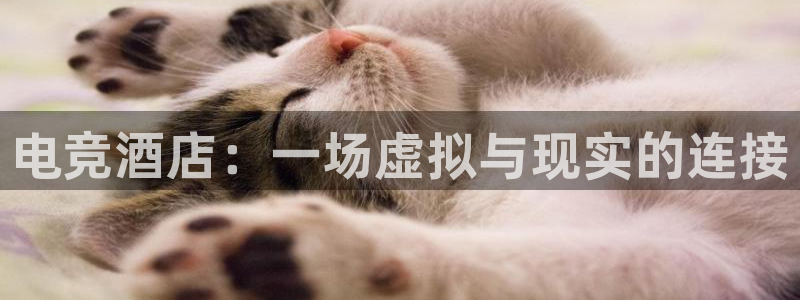 一竞技官网地址：电竞酒店：一场虚拟与现实的连接