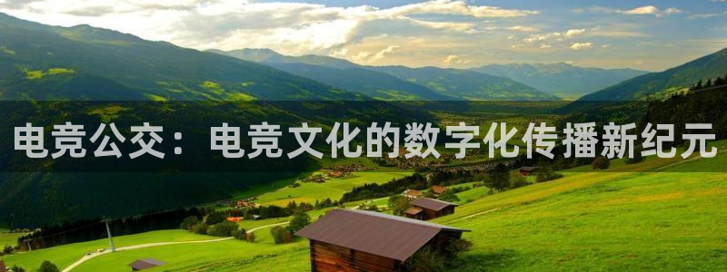 一竞技平台：电竞公交：电竞文化的数字化传播新纪元
