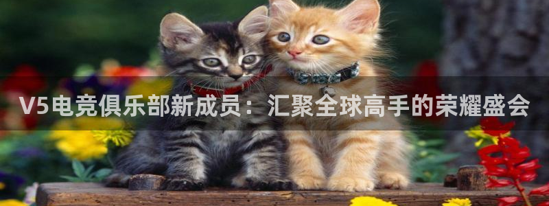 一竞技官网：V5电竞俱乐部新成员：汇聚全球高手的荣耀盛会