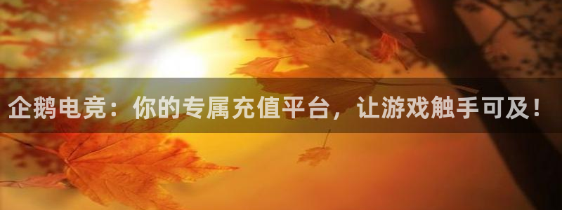 一竞技官网地址：企鹅电竞：你的专属充值平台，让游戏触手可及！