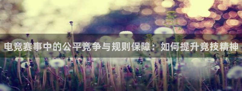 一竞技：电竞赛事中的公平竞争与规则保障：如何提升竞技精神