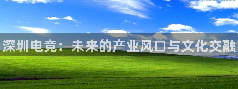 一竞技官网：深圳电竞：未来的产业风口与文化交融