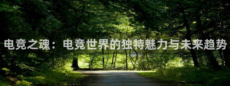 一竞技官网下载：电竞之魂：电竞世界的独特魅力与未来趋势