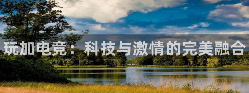 一竞技app：玩加电竞：科技与激情的完美融合